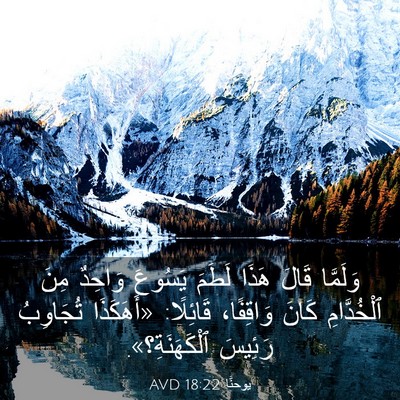 Picture 03 - يوحنَّا 18:22 AVD - وَلَمَّا قَالَ هَذَا - Bible Verse Picture