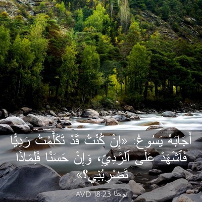 Picture 03 - يوحنَّا 18:23 AVD - أَجَابَهُ يَسُوعُ: «إِنْ - Bible Verse Picture
