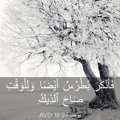 Picture 03 - يوحنَّا 18:27 AVD - فَأَنْكَرَ بُطْرُسُ - Bible Verse Picture