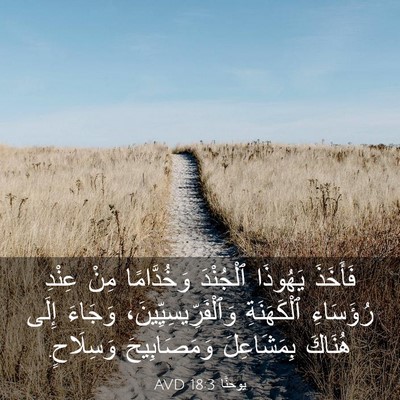 Picture 03 - يوحنَّا 18:3 AVD - فَأَخَذَ يَهُوذَا - Bible Verse Picture