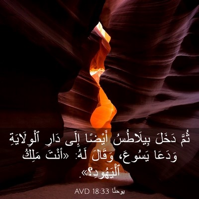Picture 03 - يوحنَّا 18:33 AVD - ثُمَّ دَخَلَ بِيلَاطُسُ - Bible Verse Picture