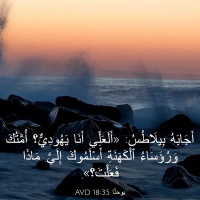 Picture 03 - يوحنَّا 18:35 AVD - أَجَابَهُ بِيلَاطُسُ: - Bible Verse Picture