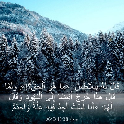 Picture 03 - يوحنَّا 18:38 AVD - قَالَ لَهُ بِيلَاطُسُ: - Bible Verse Picture
