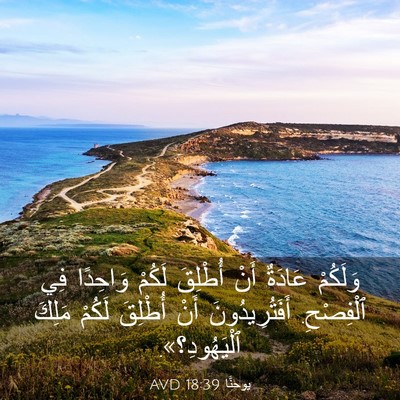 Picture 03 - يوحنَّا 18:39 AVD - وَلَكُمْ عَادَةٌ أَنْ - Bible Verse Picture