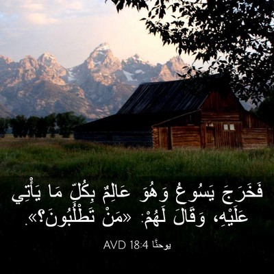 Picture 03 - يوحنَّا 18:4 AVD - فَخَرَجَ يَسُوعُ وَهُوَ - Bible Verse Picture