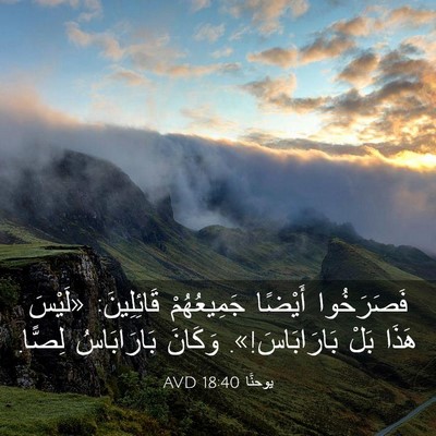 Picture 03 - يوحنَّا 18:40 AVD - فَصَرَخُوا أَيْضًا - Bible Verse Picture