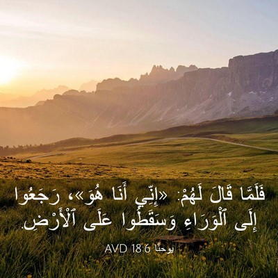 Picture 03 - يوحنَّا 18:6 AVD - فَلَمَّا قَالَ لَهُمْ: - Bible Verse Picture