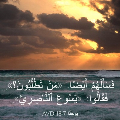 Picture 03 - يوحنَّا 18:7 AVD - فَسَأَلَهُمْ أَيْضًا: - Bible Verse Picture