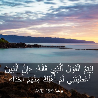 Picture 03 - يوحنَّا 18:9 AVD - لِيَتِمَّ ٱلْقَوْلُ - Bible Verse Picture