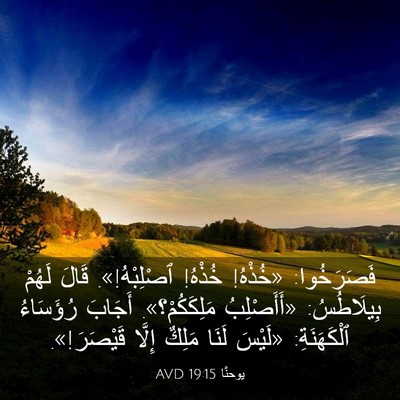 Picture 03 - يوحنَّا 19:15 AVD - فَصَرَخُوا: «خُذْهُ! - Bible Verse Picture