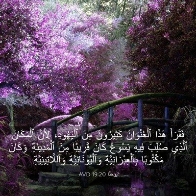 Picture 03 - يوحنَّا 19:20 AVD - فَقَرَأَ هَذَا - Bible Verse Picture