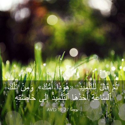 Picture 03 - يوحنَّا 19:27 AVD - ثُمَّ قَالَ لِلتِّلْمِيذِ: - Bible Verse Picture