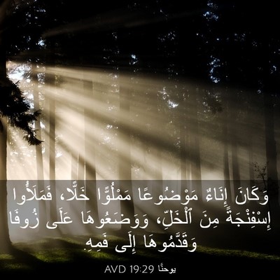 Picture 03 - يوحنَّا 19:29 AVD - وَكَانَ إِنَاءٌ - Bible Verse Picture