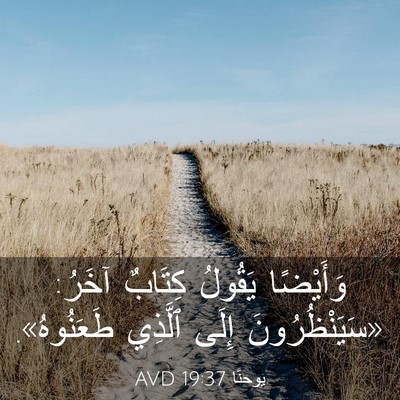 Picture 03 - يوحنَّا 19:37 AVD - وَأَيْضًا يَقُولُ كِتَابٌ - Bible Verse Picture