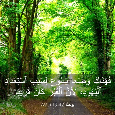 Picture 03 - يوحنَّا 19:42 AVD - فَهُنَاكَ وَضَعَا يَسُوعَ - Bible Verse Picture