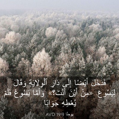 Picture 03 - يوحنَّا 19:9 AVD - فَدَخَلَ أَيْضًا إِلَى - Bible Verse Picture