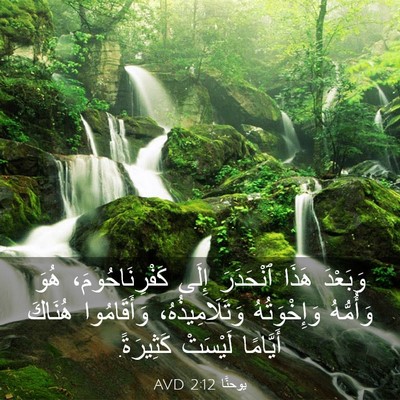 Picture 03 - يوحنَّا 2:12 AVD - وَبَعْدَ هَذَا ٱنْحَدَرَ - Bible Verse Picture