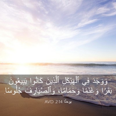 Picture 03 - يوحنَّا 2:14 AVD - وَوَجَدَ فِي ٱلْهَيْكَلِ - Bible Verse Picture