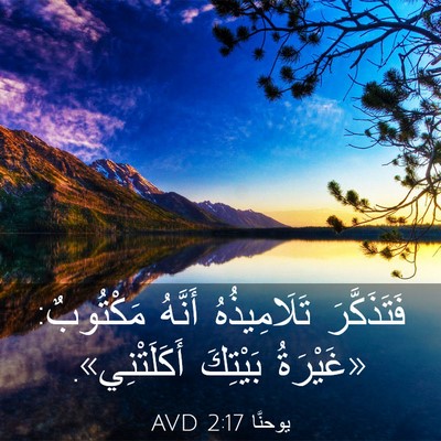 Picture 03 - يوحنَّا 2:17 AVD - فَتَذَكَّرَ تَلَامِيذُهُ - Bible Verse Picture