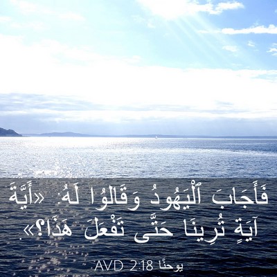 Picture 03 - يوحنَّا 2:18 AVD - فَأَجَابَ ٱلْيَهُودُ - Bible Verse Picture