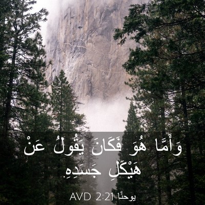 Picture 03 - يوحنَّا 2:21 AVD - وَأَمَّا هُوَ فَكَانَ - Bible Verse Picture