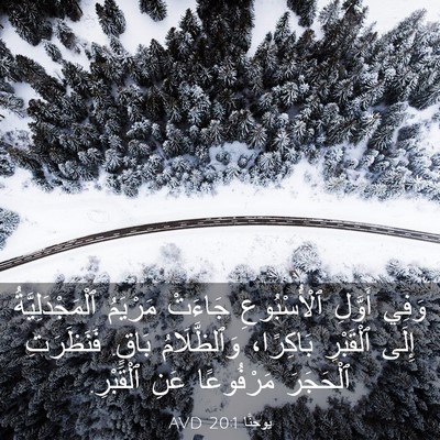 Picture 03 - يوحنَّا 20:1 AVD - وَفِي أَوَّلِ - Bible Verse Picture