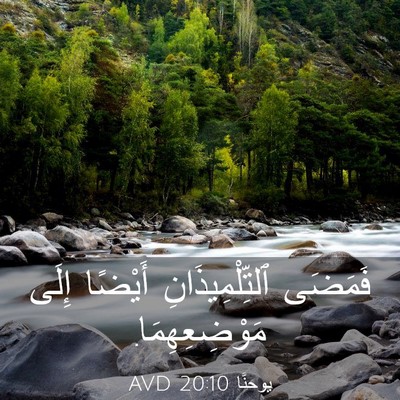 Picture 03 - يوحنَّا 20:10 AVD - فَمَضَى ٱلتِّلْمِيذَانِ - Bible Verse Picture