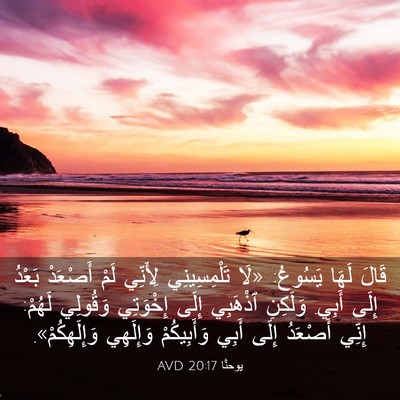 Picture 03 - يوحنَّا 20:17 AVD - قَالَ لَهَا يَسُوعُ: «لَا - Bible Verse Picture