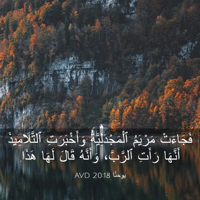 Picture 03 - يوحنَّا 20:18 AVD - فَجَاءَتْ مَرْيَمُ - Bible Verse Picture
