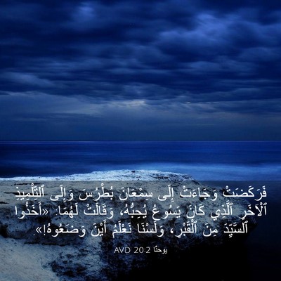 Picture 03 - يوحنَّا 20:2 AVD - فَرَكَضَتْ وَجَاءَتْ - Bible Verse Picture