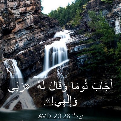 Picture 03 - يوحنَّا 20:28 AVD - أَجَابَ تُومَا وَقَالَ - Bible Verse Picture