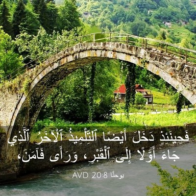 Picture 03 - يوحنَّا 20:8 AVD - فَحِينَئِذٍ دَخَلَ - Bible Verse Picture