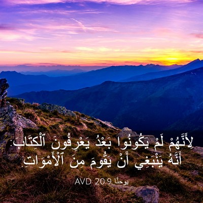 Picture 03 - يوحنَّا 20:9 AVD - لِأَنَّهُمْ لَمْ - Bible Verse Picture