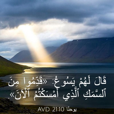 Picture 03 - يوحنَّا 21:10 AVD - قَالَ لَهُمْ يَسُوعُ: - Bible Verse Picture