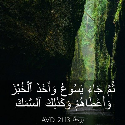 Picture 03 - يوحنَّا 21:13 AVD - ثُمَّ جَاءَ يَسُوعُ - Bible Verse Picture