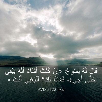 Picture 03 - يوحنَّا 21:22 AVD - قَالَ لَهُ يَسُوعُ: «إِنْ - Bible Verse Picture