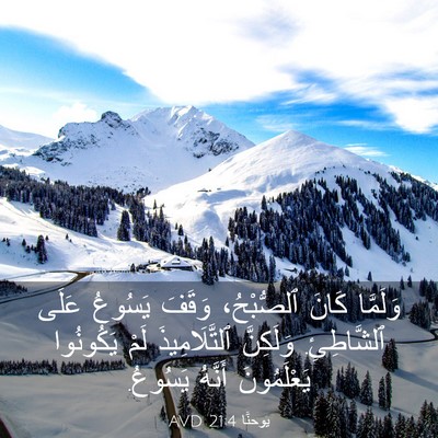 Picture 03 - يوحنَّا 21:4 AVD - وَلَمَّا كَانَ ٱلصُّبْحُ، - Bible Verse Picture