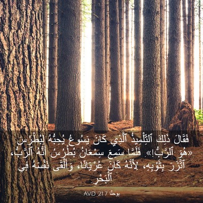 Picture 03 - يوحنَّا 21:7 AVD - فَقَالَ ذَلِكَ - Bible Verse Picture