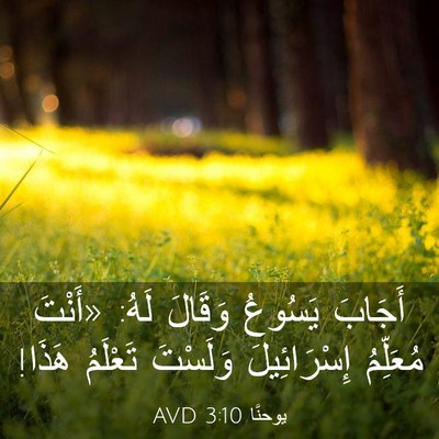 Picture 03 - يوحنَّا 3:10 AVD - أَجَابَ يَسُوعُ وَقَالَ - Bible Verse Picture