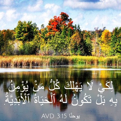 Picture 03 - يوحنَّا 3:15 AVD - لِكَيْ لَا يَهْلِكَ كُلُّ - Bible Verse Picture