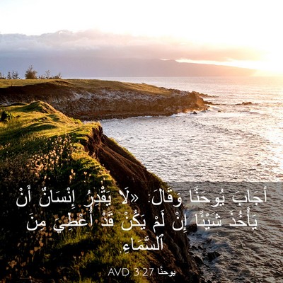 Picture 03 - يوحنَّا 3:27 AVD - أجَابَ يُوحَنَّا وَقَالَ: - Bible Verse Picture