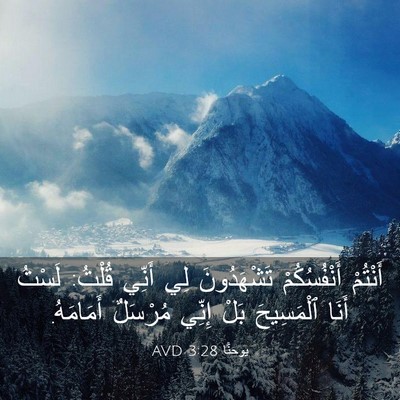Picture 03 - يوحنَّا 3:28 AVD - أَنْتُمْ أَنْفُسُكُمْ - Bible Verse Picture