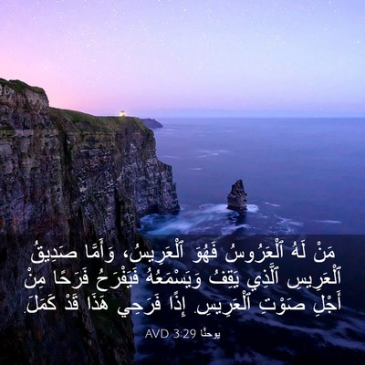 Picture 03 - يوحنَّا 3:29 AVD - مَنْ لَهُ ٱلْعَرُوسُ - Bible Verse Picture