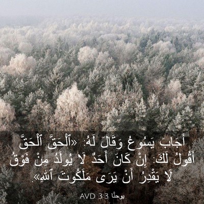 Picture 03 - يوحنَّا 3:3 AVD - أَجَابَ يَسُوعُ وَقَالَ - Bible Verse Picture