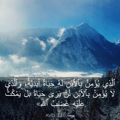 Picture 03 - يوحنَّا 3:36 AVD - ٱلَّذِي يُؤْمِنُ - Bible Verse Picture