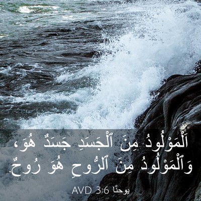 Picture 03 - يوحنَّا 3:6 AVD - اَلْمَوْلُودُ مِنَ - Bible Verse Picture