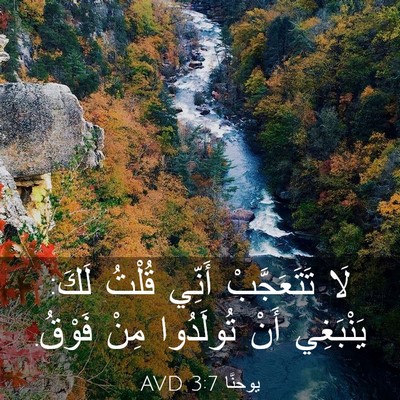Picture 03 - يوحنَّا 3:7 AVD - لَا تَتَعَجَّبْ أَنِّي - Bible Verse Picture