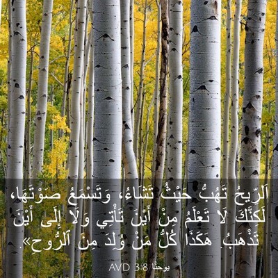 Picture 03 - يوحنَّا 3:8 AVD - اَلرِّيحُ تَهُبُّ حَيْثُ - Bible Verse Picture