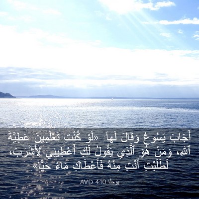 Picture 03 - يوحنَّا 4:10 AVD - أَجَابَ يَسُوعُ وَقَالَ - Bible Verse Picture