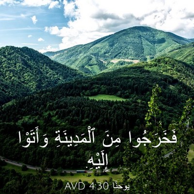 Picture 03 - يوحنَّا 4:30 AVD - فَخَرَجُوا مِنَ - Bible Verse Picture
